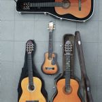 735 8191 GUITARS